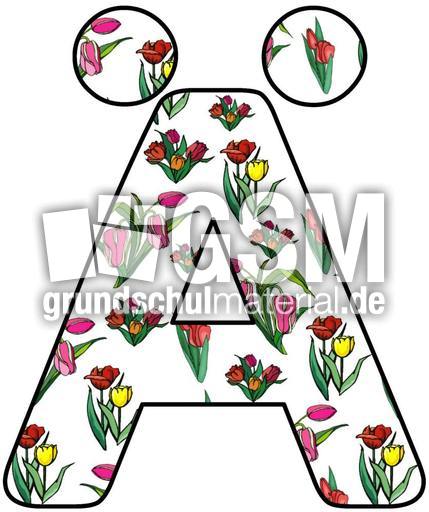 Tulpen-Buchstabe-Ä.jpg